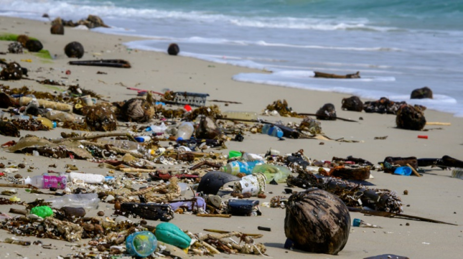 Umweltbundesamt richtet Plattform f&uuml;r Einwegplastik-Abgabe ein 