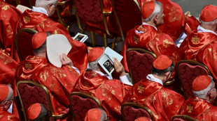 Os 15 cardeais 'pap&aacute;veis' &agrave;s v&eacute;speras do conclave