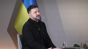 Zelensky, 'molte decisioni potrebbero essere prese entro fine anno'