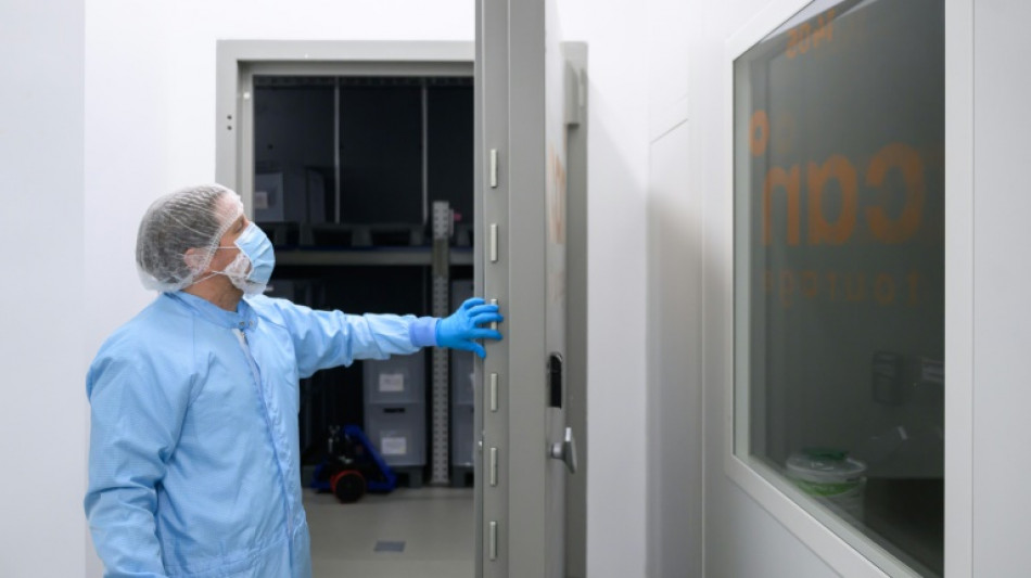 Le cannabis m&eacute;dical, une production "made in Germany" en plein boom