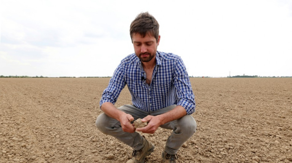 Face &agrave; une s&eacute;cheresse exceptionnelle, des agriculteurs du Nord se raccrochent &agrave; l'irrigation