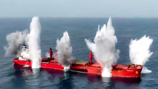 Yemen's Huthis claim deadly Red Sea attack on merchant ship