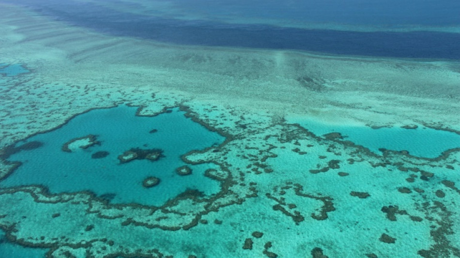 Australia declares 'mass bleaching' at Great Barrier Reef 