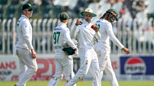 South Africa grind to 86-2 at tea in reply to Pakistan's 333