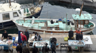 En M&eacute;diterran&eacute;e, les poissons cherchent la fra&icirc;cheur et &ccedil;a recompose nos assiettes