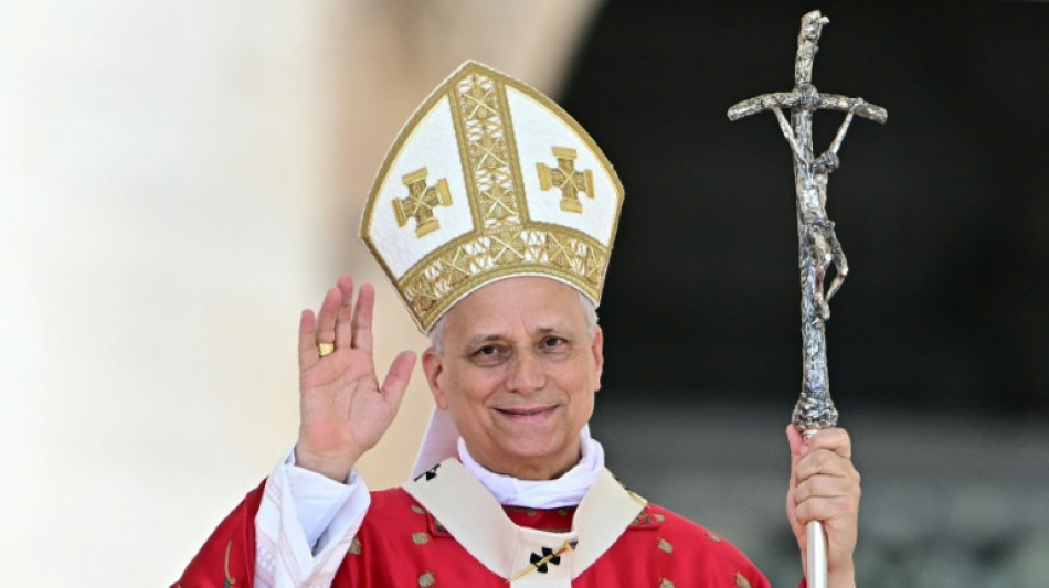 Papst Leo XIV. ruft beim Pfingstgebet zu Frieden in aller Welt auf