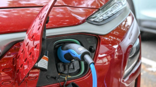 Bundeswirtschaftsministerium stockt Budget f&uuml;r E-Autof&ouml;rderung auf