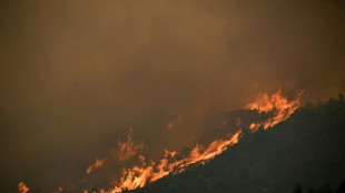 Climat: &eacute;missions de carbone record en Europe avec les incendies de l'&eacute;t&eacute;, selon Copernicus