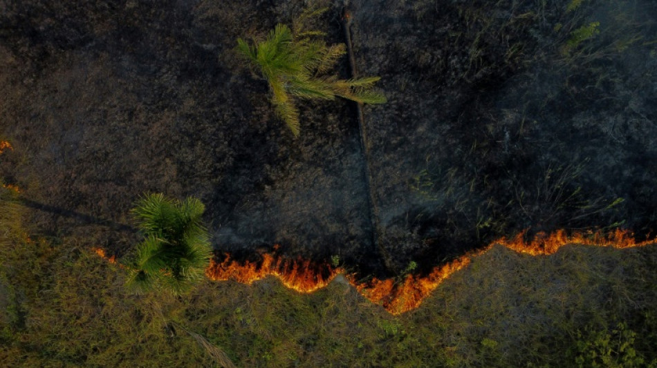 Incendies au Br&eacute;sil: l'Amazonie a connu son pire premier semestre en 20 ans