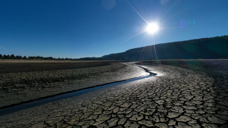 Plus d'eau au robinet, cultures &agrave; sec: le gouvernement rattrap&eacute; par une s&eacute;cheresse historique