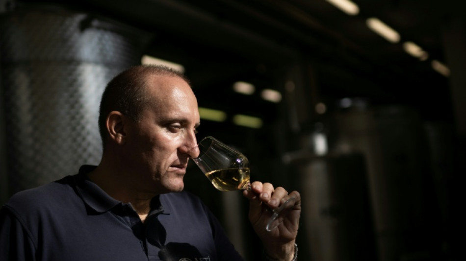 Bumper harvest falls flat for Italy's Asti vineyards