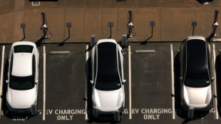 Le Congr&egrave;s am&eacute;ricain veut emp&ecirc;cher la Californie d'interdire les voitures thermiques