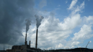 Charbon: consommation en hausse aux USA, l&eacute;ger repli en Chine et Inde, selon l'AIE