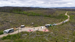 Reboiser apr&egrave;s les incendies, des drones &agrave; la rescousse au Canada