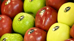 204.000 Tonnen weniger als im Vorjahr: Apfelernte voraussichtlich schlecht