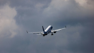 Carburants "verts" dans l'a&eacute;rien: les eurod&eacute;put&eacute;s se veulent plus ambitieux que Bruxelles