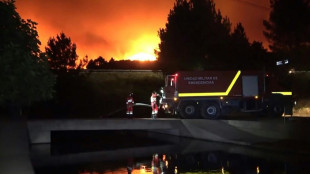 Le Portugal et l'Espagne mobilis&eacute;s face aux feux de for&ecirc;t