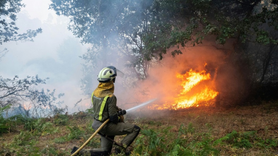 Bajo control el incendio que asoló una zona turística del sur de España