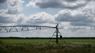 En France, des &eacute;t&eacute;s au r&eacute;gime sec si la gestion de l'eau ne change pas