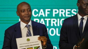 Foot: le Maroc d&eacute;sign&eacute; pays h&ocirc;te de la Coupe d'Afrique des nations 2025