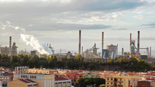 Fonti Jindal, Baku Steel &egrave; inesperta sugli impianti complessi