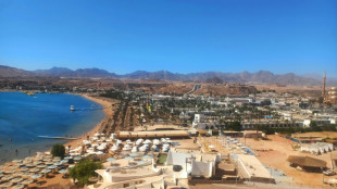 Renforts diplomatiques en Egypte pour pousser &agrave; un accord sur Gaza