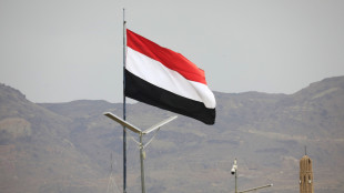 Media, forze governative yemenite attaccano gli Houthi vicino a Bab el Mandeb