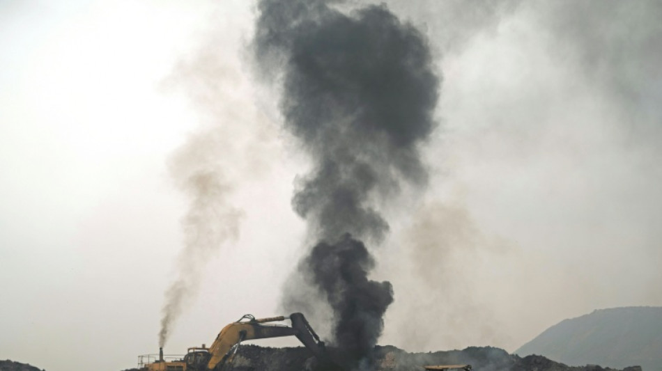 Índia alcança 'marco' em energia limpa, mas carvão segue dominando