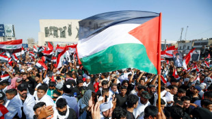 Milhares de manifestantes declaram apoio aos palestinos no Oriente M&eacute;dio