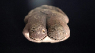 P&eacute;rou : d&eacute;couverte d'une rare sculpture de grenouilles vieille de 3.800 ans