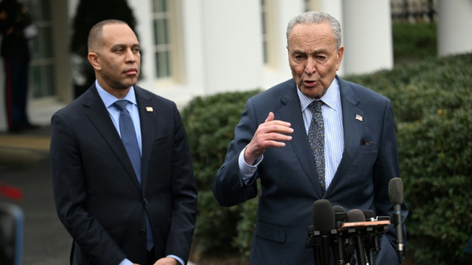 Democrats assail 'erratic' Trump over Iran strikes