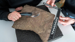 La plus vieille pierre runique au monde d&eacute;couverte en Norv&egrave;ge