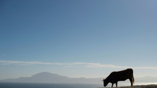El Mediterr&aacute;neo perdi&oacute; el 70% de su agua hace 5,5 millones de a&ntilde;os
