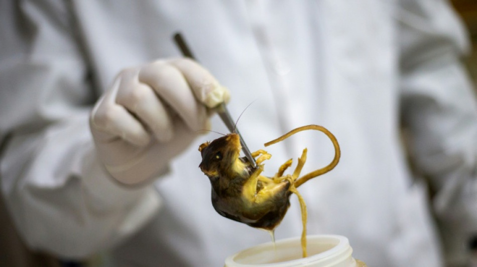 Canada cruise passenger 'presumptive positive' for hantavirus