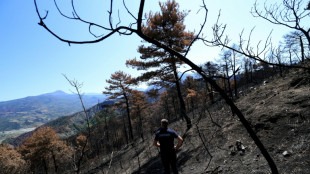 Apr&egrave;s des incendies monstres, l'Albanie doit repenser l'avenir de ses for&ecirc;ts