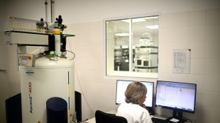 Origine florale, provenance: dans les coulisses de l'analyse des miels