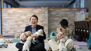 'Esc&acirc;ndalo da bolsa Dior' amea&ccedil;a partido do presidente sul-coreano