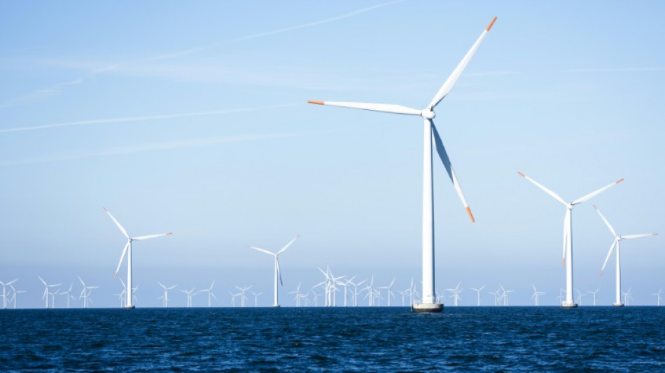 Danish wind giant sues US government over project halt