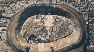 Alep pr&ecirc;te &agrave; revivre, malgr&eacute; les ravages inflig&eacute;s &agrave; son patrimoine
