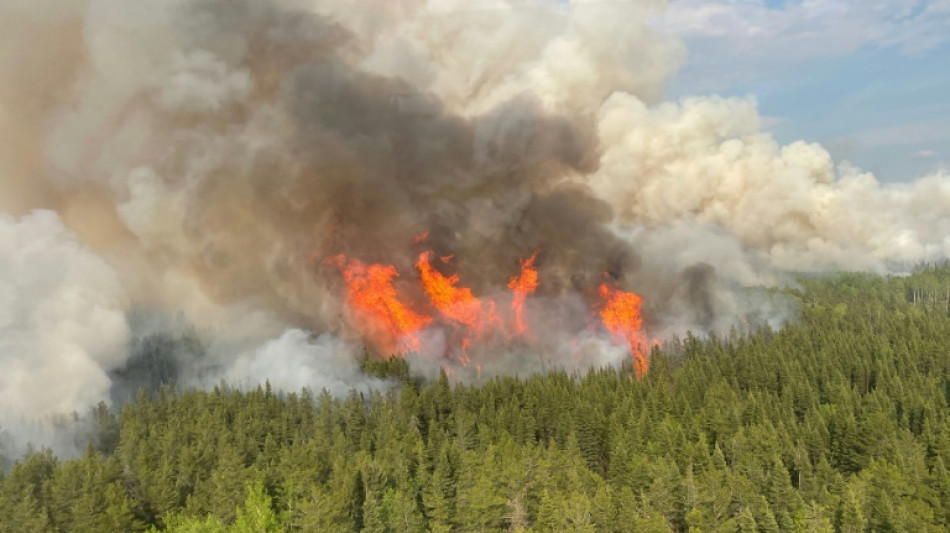 Près de six millions d'hectares brûlés par les feux de forêt au Canada