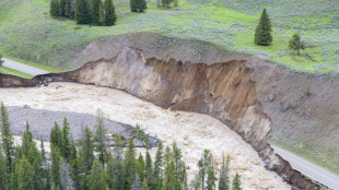 Inondations record &agrave; Yellowstone, une partie du parc ferm&eacute;e pour l'&eacute;t&eacute;