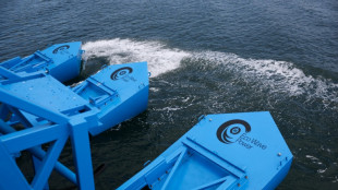 La energ&iacute;a del mar se convierte en electricidad en el puerto de Los &Aacute;ngeles