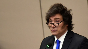 Les Etats-Unis dispos&eacute;s &agrave; lancer une bou&eacute;e de sauvetage financi&egrave;re &agrave; l'Argentine de Milei 