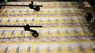 Steinmeier macht Weg f&uuml;r Finanzpaket frei - Debatte &uuml;ber Verteilung in vollem Gange