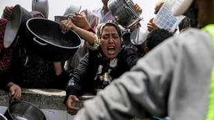 Representante palestino na CIJ acusa Israel de usar o bloqueio da ajuda como 'arma de guerra'