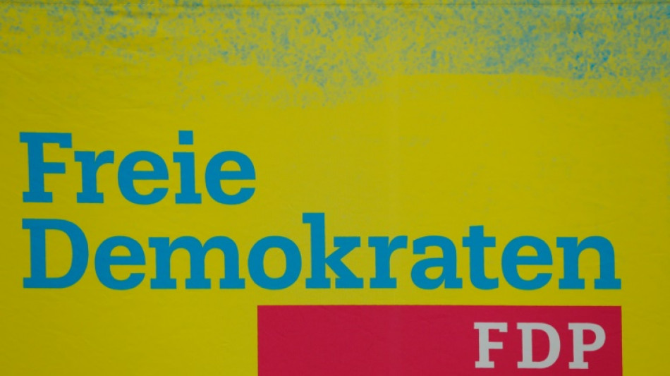 FDP-Fraktion empfiehlt Akw-Laufzeitverl&auml;ngerung mit neuen Brennst&auml;ben