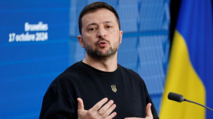 Zelenski busc&oacute; en la OTAN y en la UE apoyo a su "plan para la victoria"