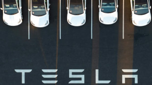 Landesregierung in Potsdam informiert &uuml;ber Genehmigung f&uuml;r Tesla-Ansiedlung
