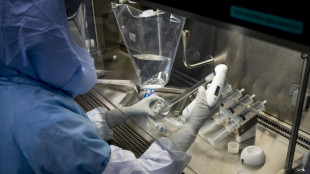 La nanomedicina o c&oacute;mo usar lo diminuto para curar grandes males