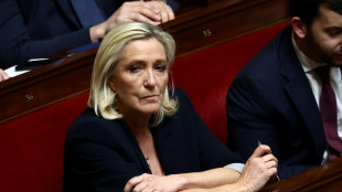 Le Pen: le calendrier judiciaire s'acc&eacute;l&egrave;re, le RN satisfait